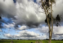 里尔迎全明星赛关键赛，今晨迎来里程碑，质疑声四起，心理建设被强调(挺住意味着一切里尔克)-ayx爱游戏彩金